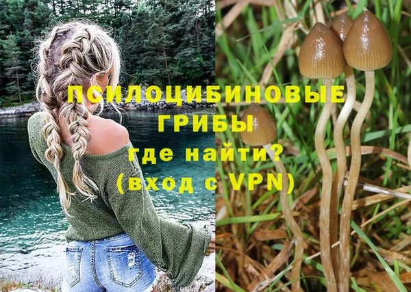 прущая мука Бородино