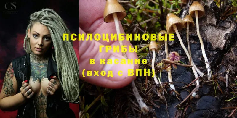 Галлюциногенные грибы Magic Shrooms  omg ONION  Катайск 