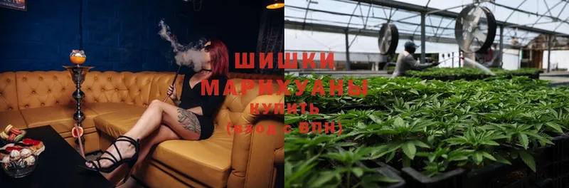 OMG ССЫЛКА  Катайск  площадка состав  Шишки марихуана White Widow 